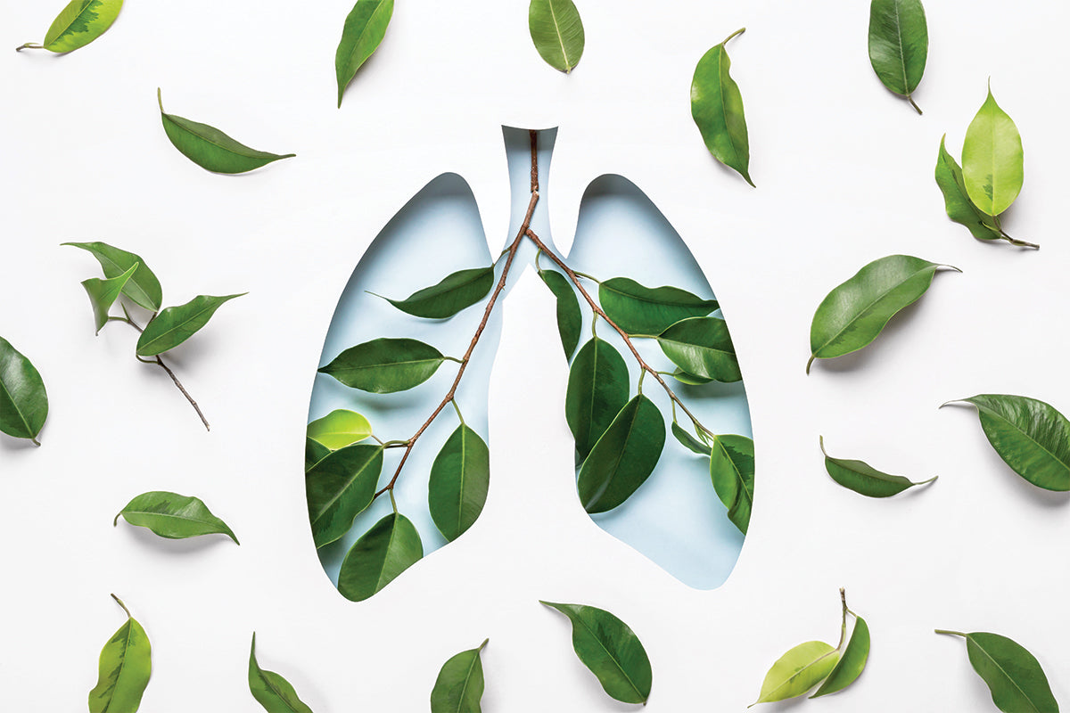 Breathe Easy: The Importance of Clean Indoor Air