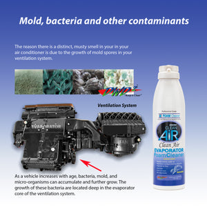 Automotive A/C Ventilation Deep-Cleaning Service